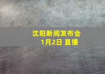 沈阳新闻发布会 1月2日 直播